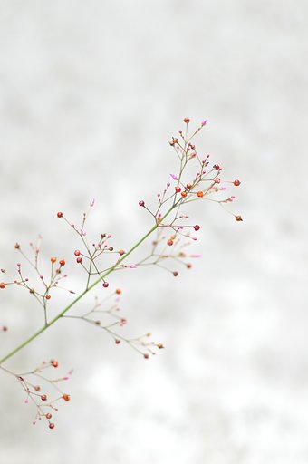 久々に７７で(3)