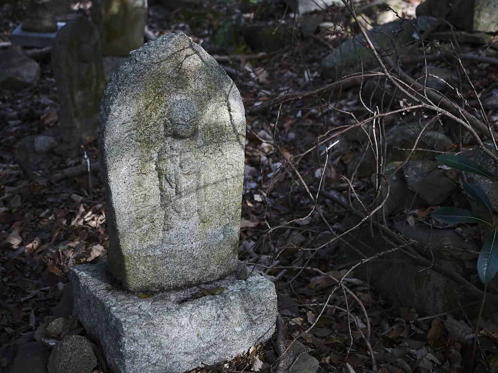 雑感③