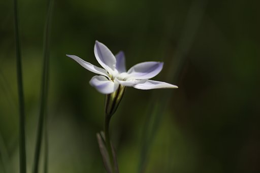3月31日の写真