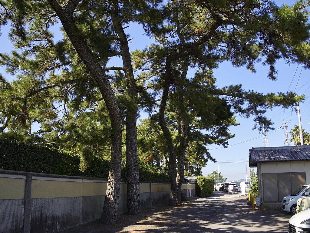 中津万象園