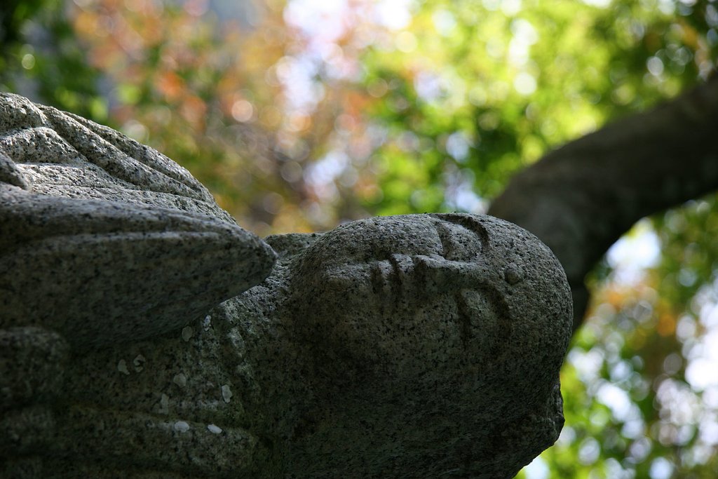 仏も祈りて待つ紅葉