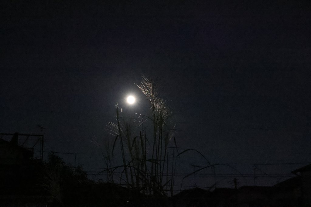 十五夜