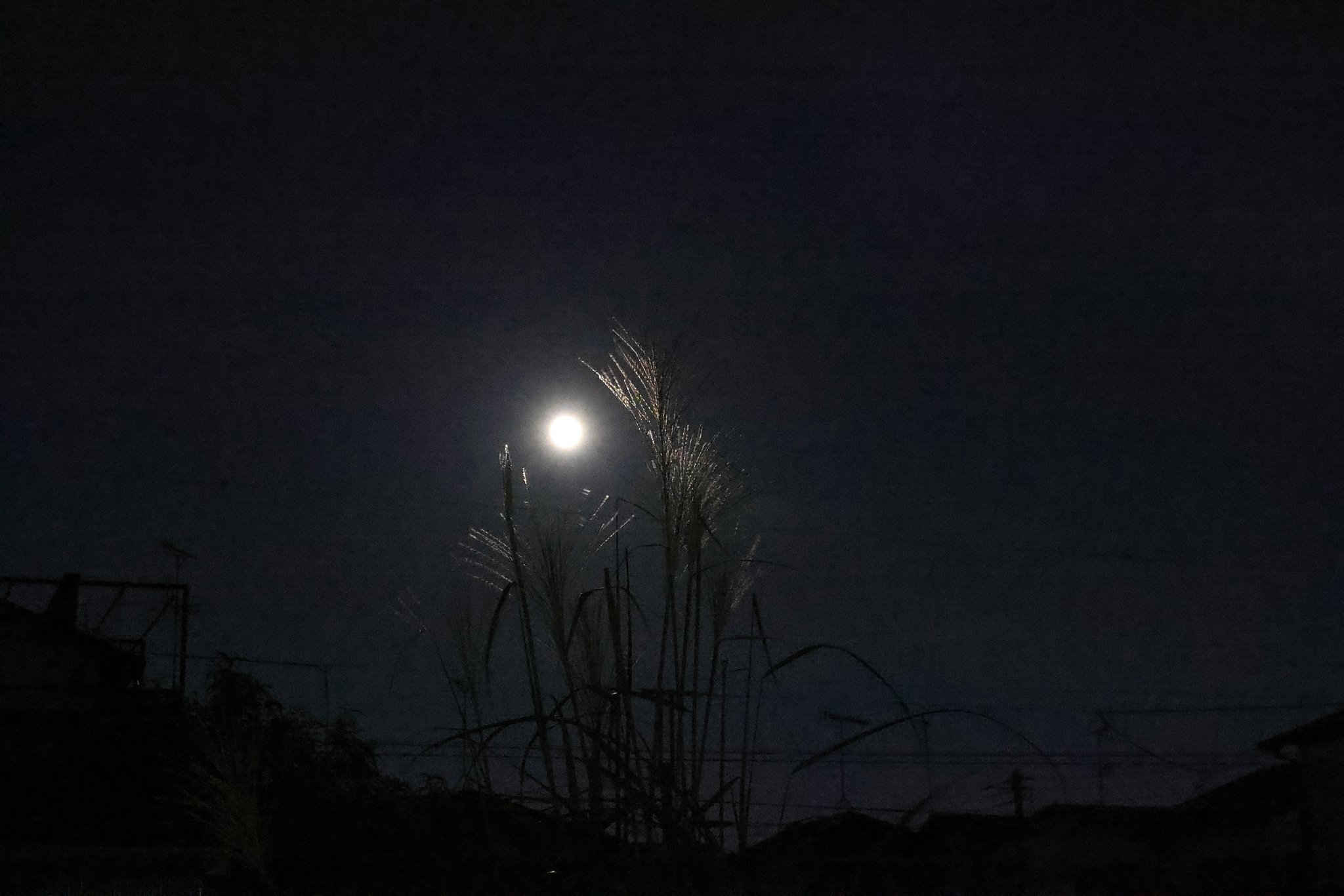 十五夜