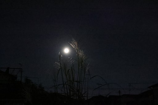 十五夜