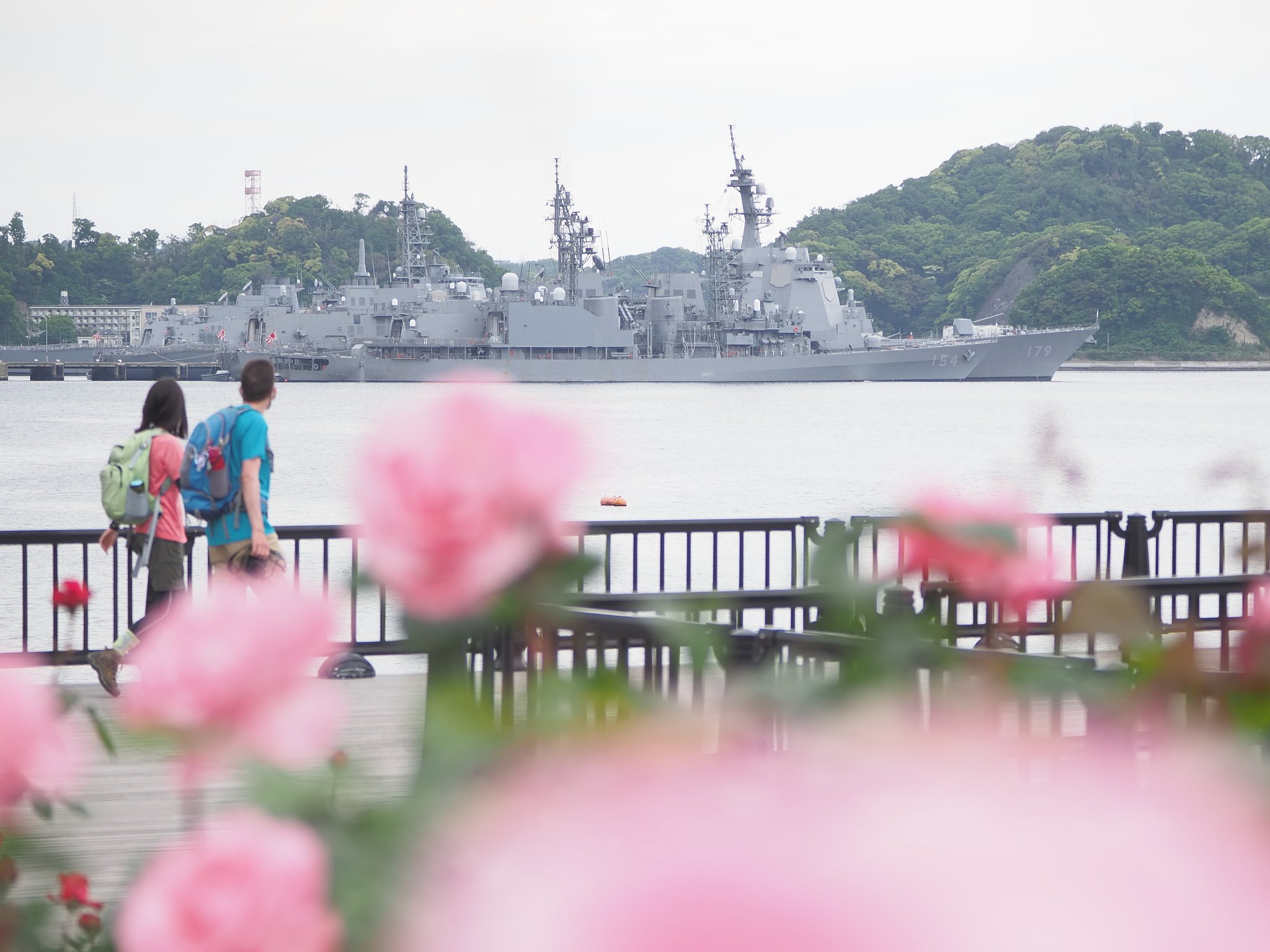 薔薇と軍港