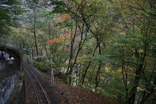 【木】谷沿いの鉄路