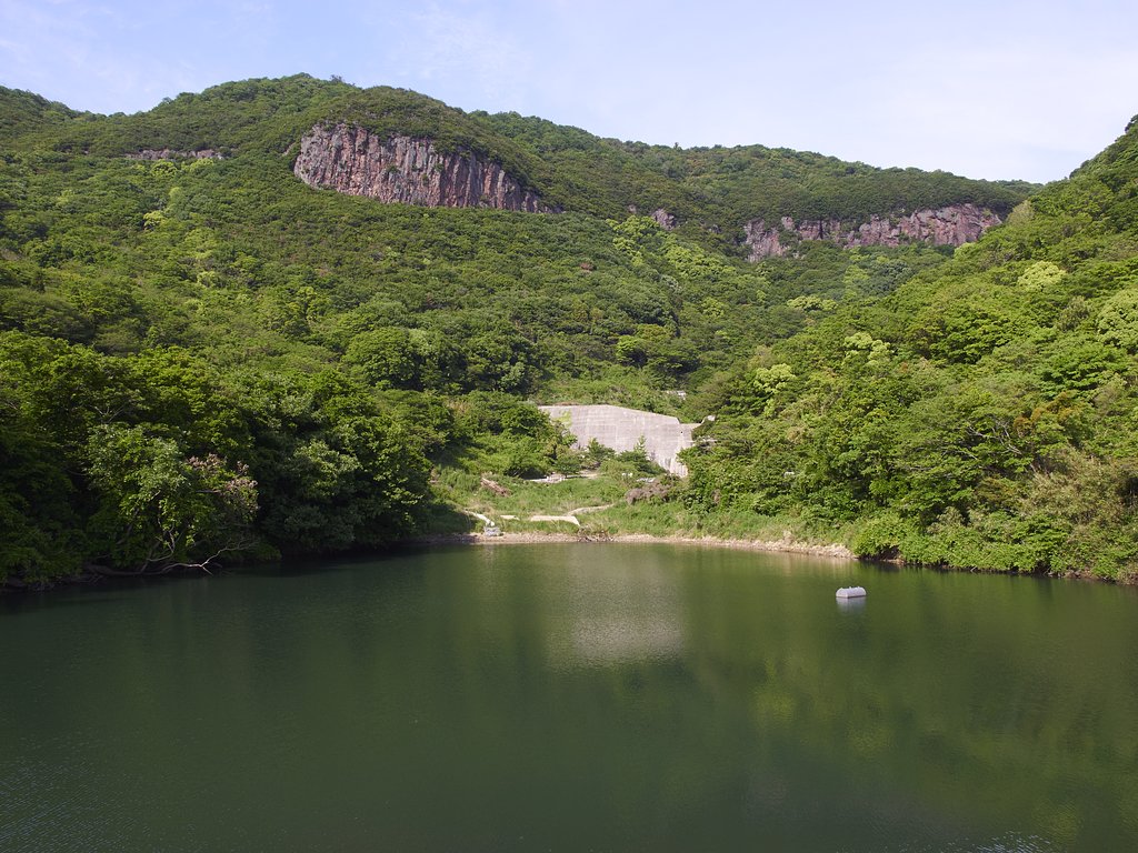 雑感