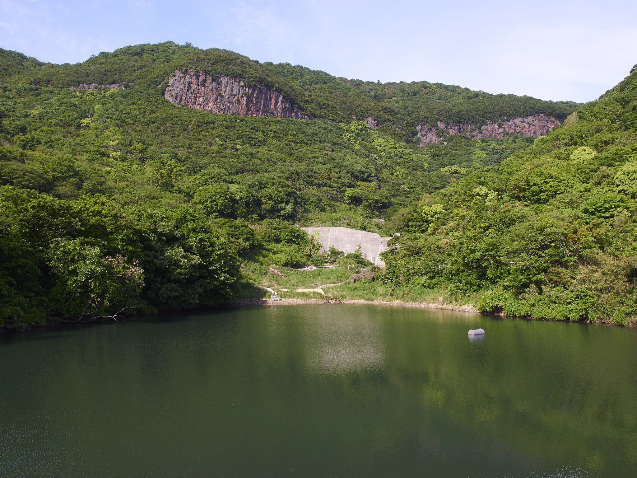 雑感