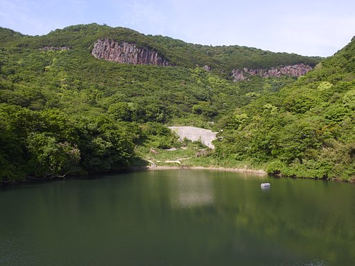 雑感