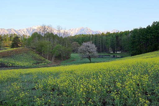 5/6  の写真・長野　　
