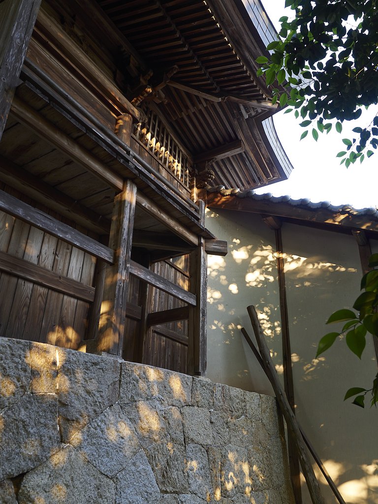 雑感