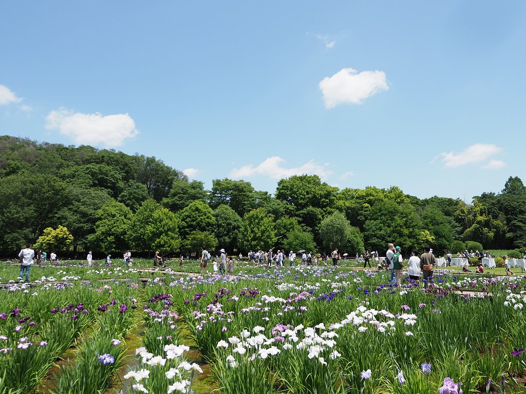 久々の華やぎ