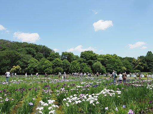 久々の華やぎ