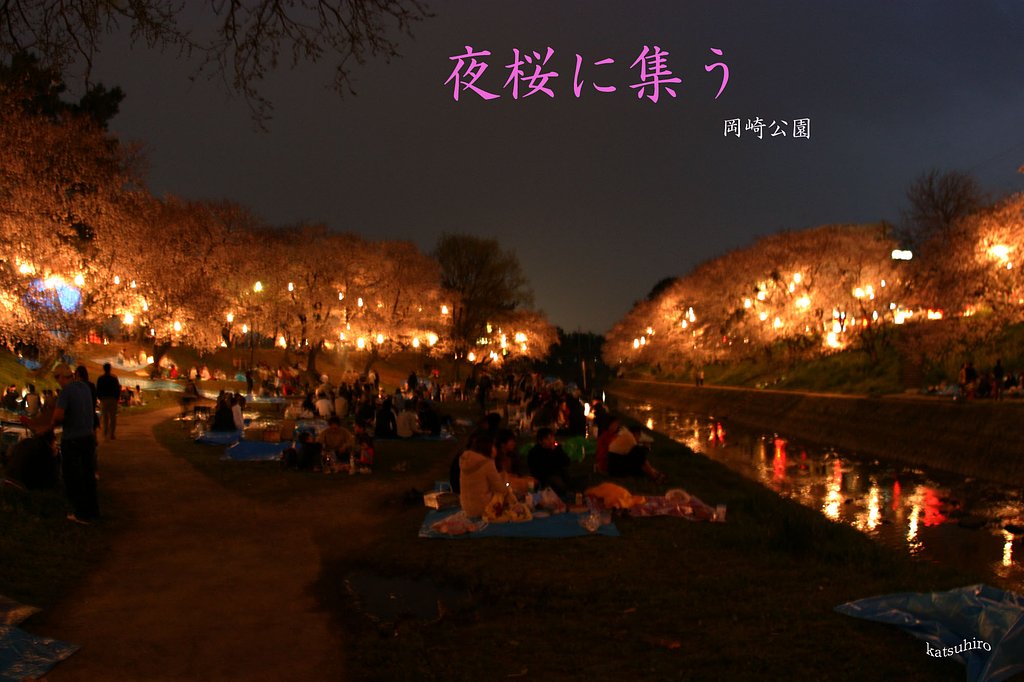 夜桜に集う！2