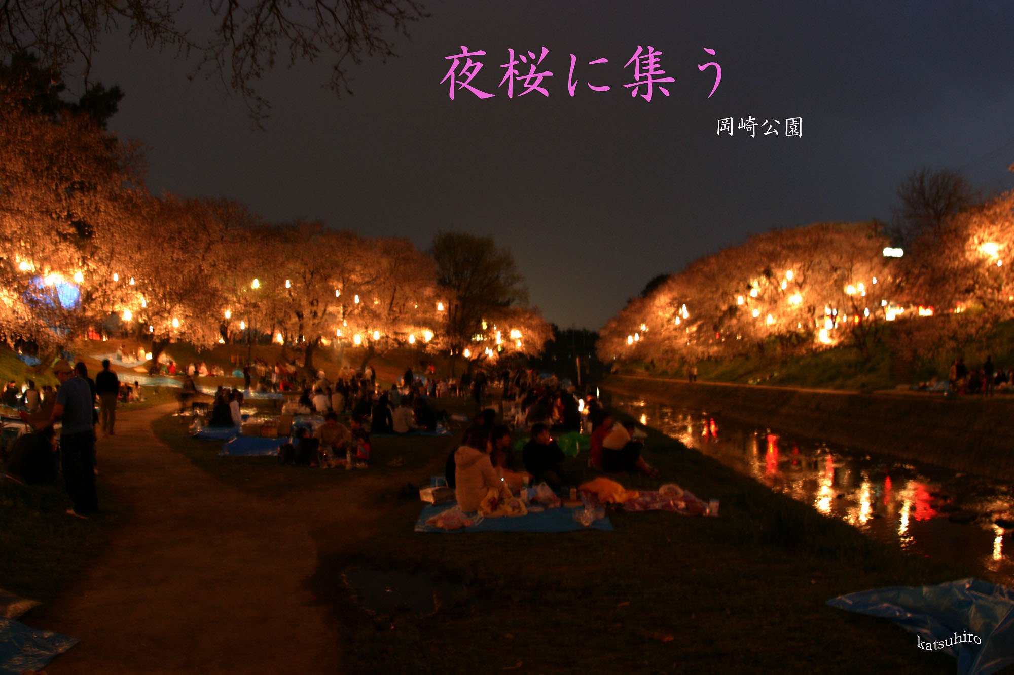夜桜に集う！2