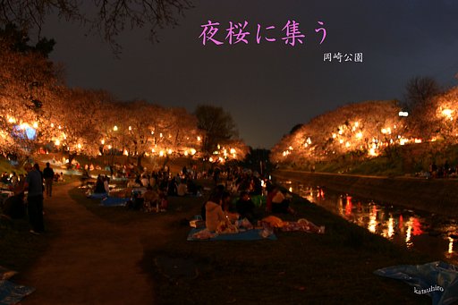 夜桜に集う！2