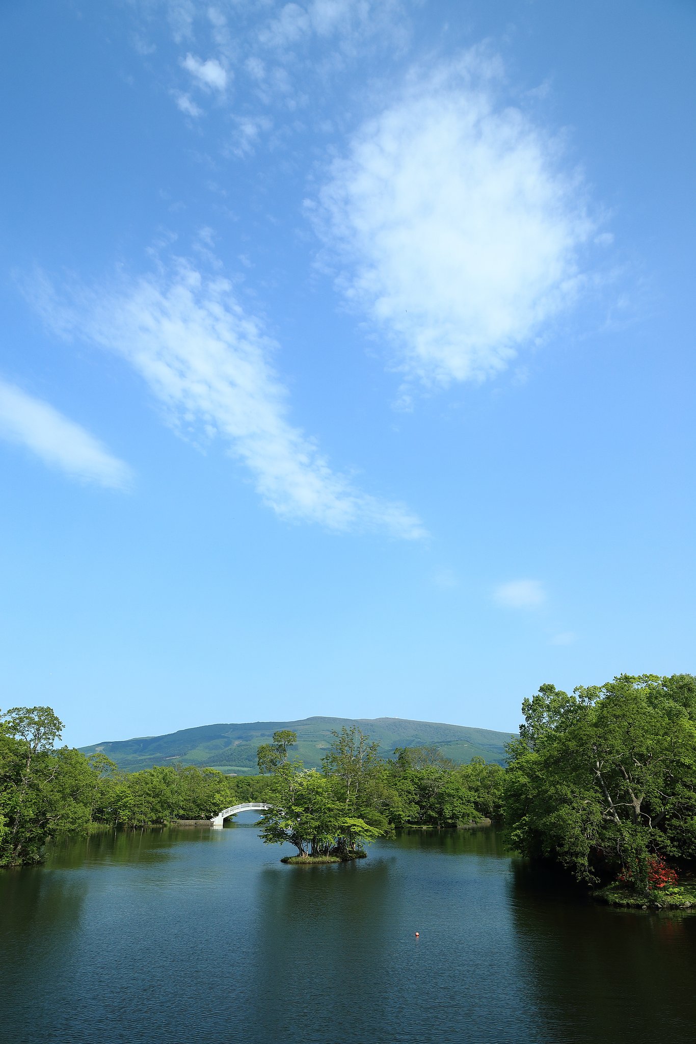 大沼の風景
