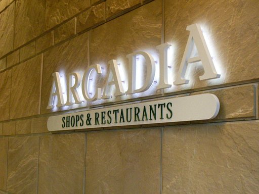 アルカディアの光