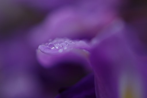 自然の造形