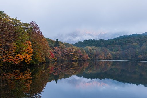 霧中のモルゲンロート＿紅葉を添えて