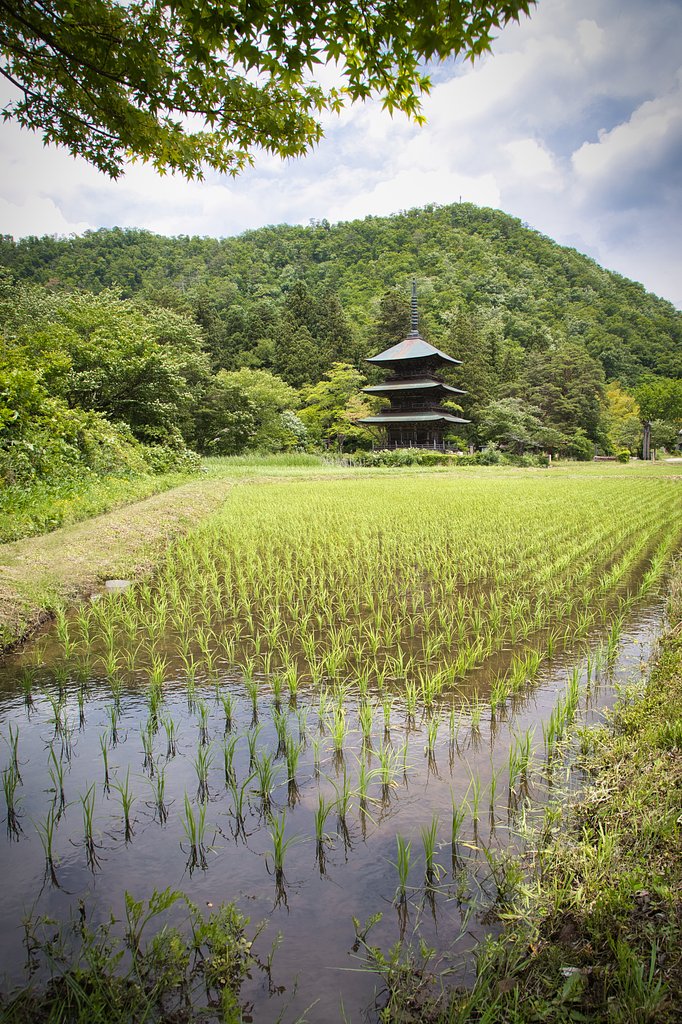 青紅葉と三重の塔