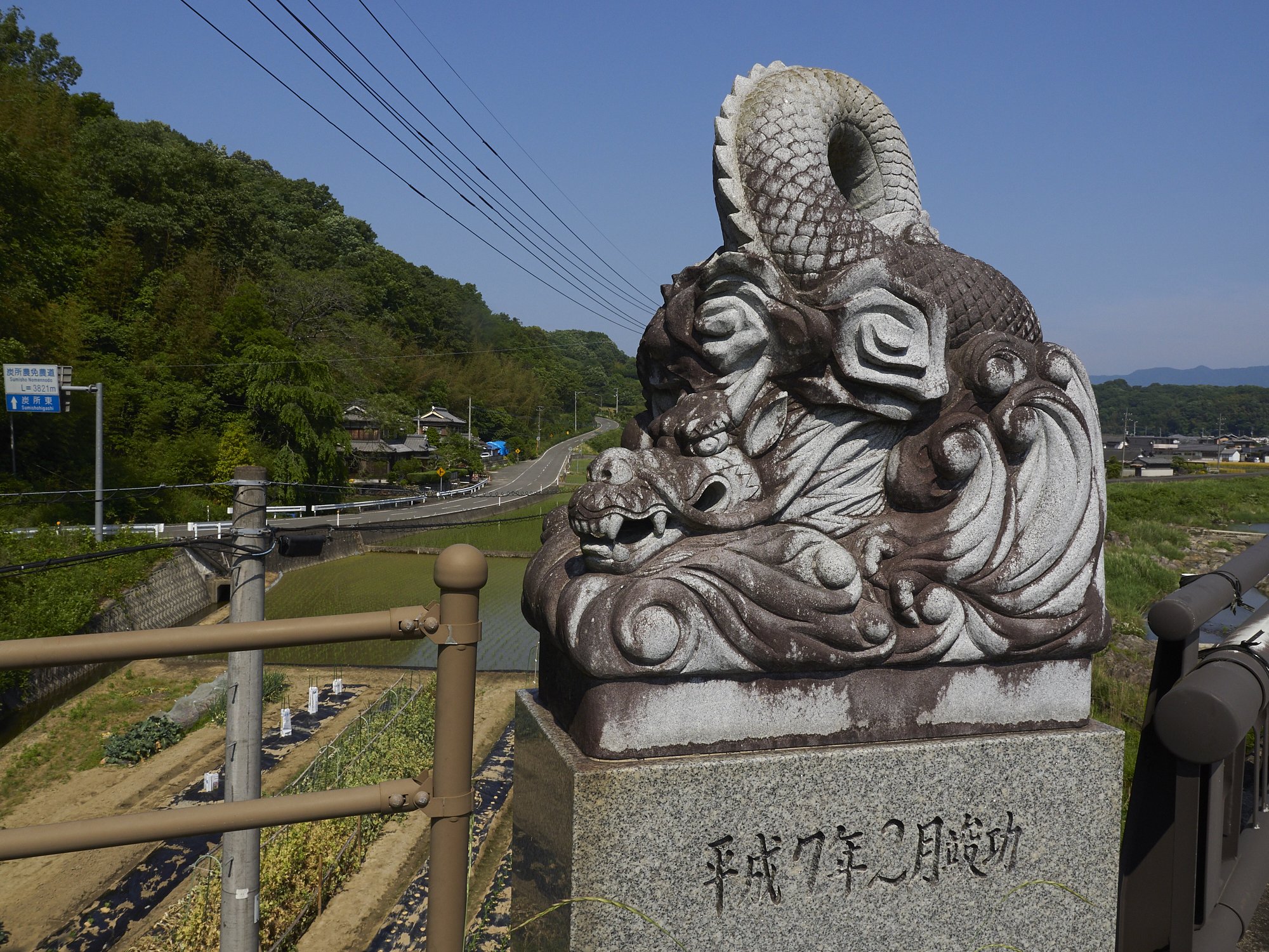 雑感