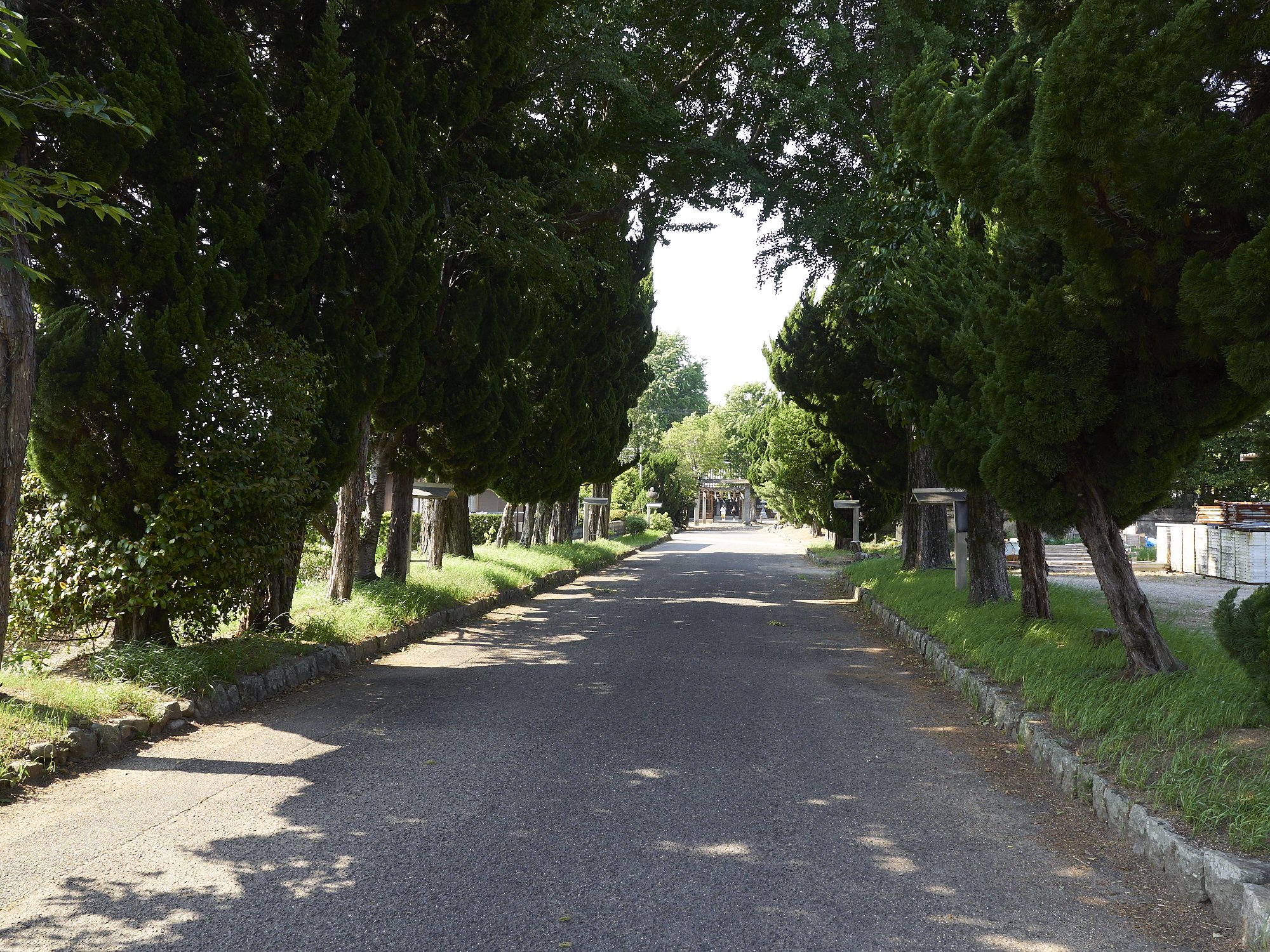 雑感