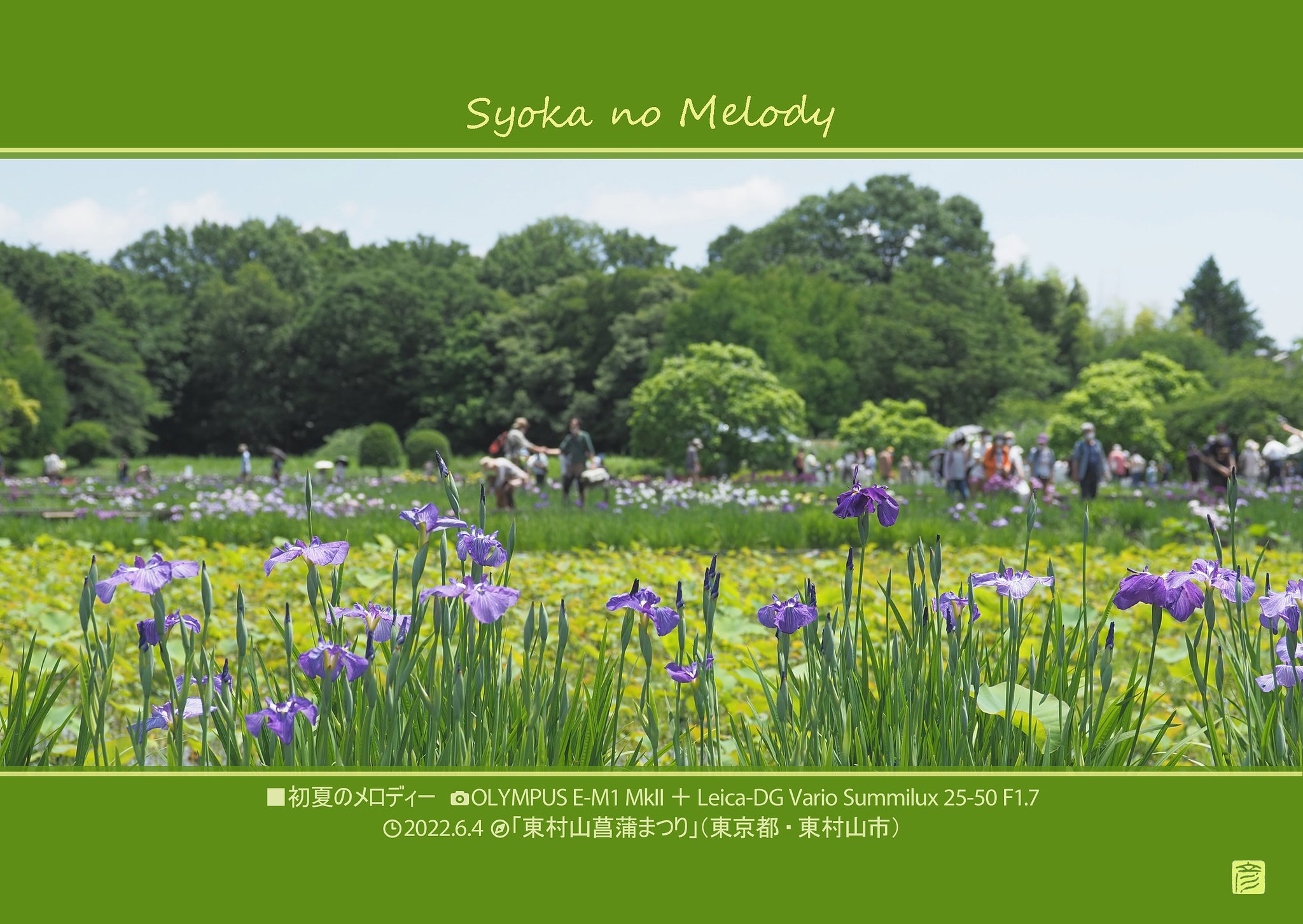 初夏のメロディー