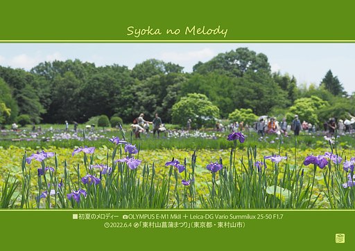初夏のメロディー