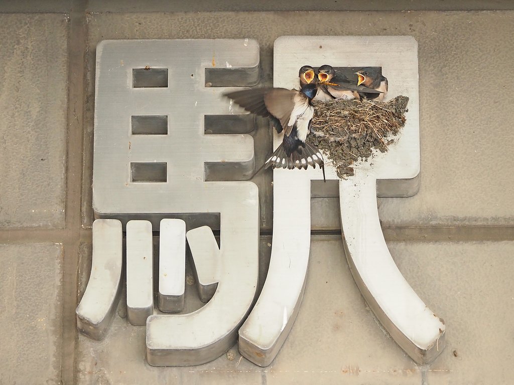 順番だよ。。