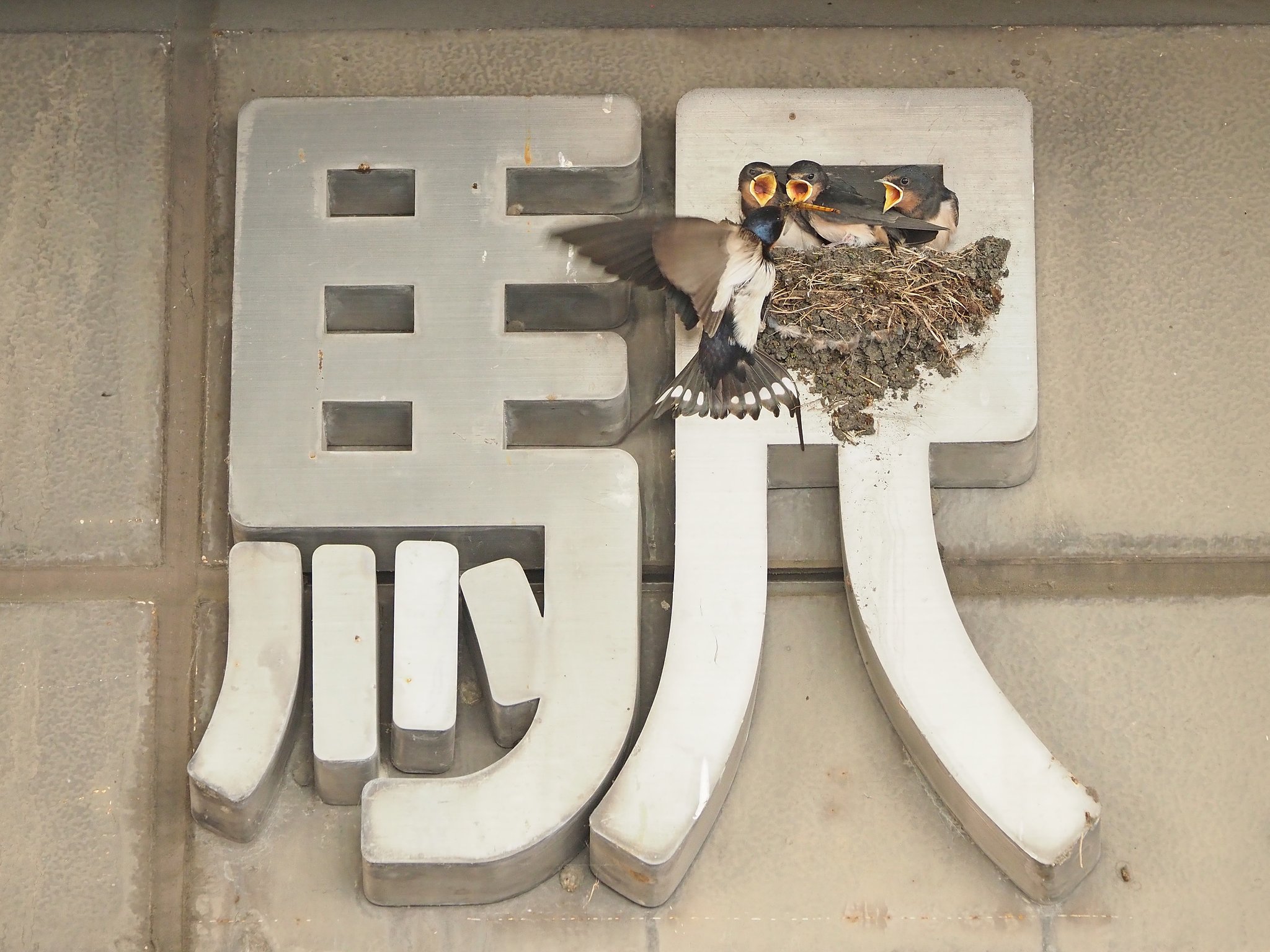 順番だよ。。