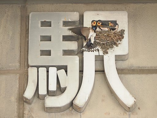 順番だよ。。