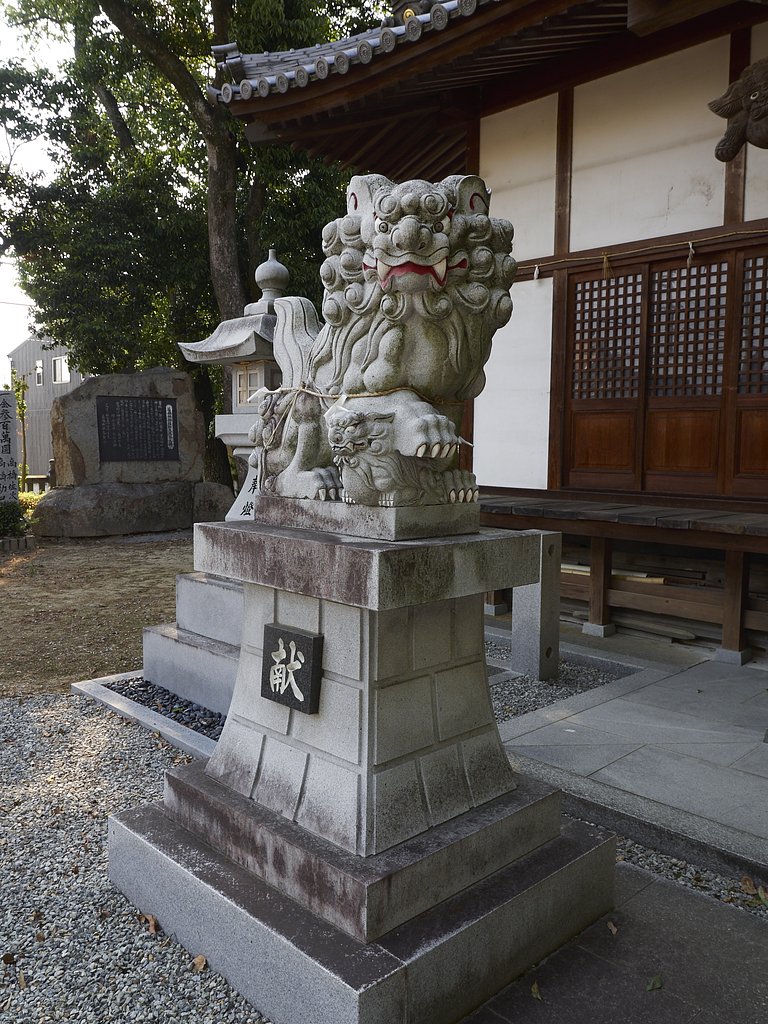 雑感