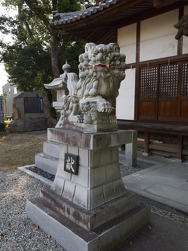 雑感