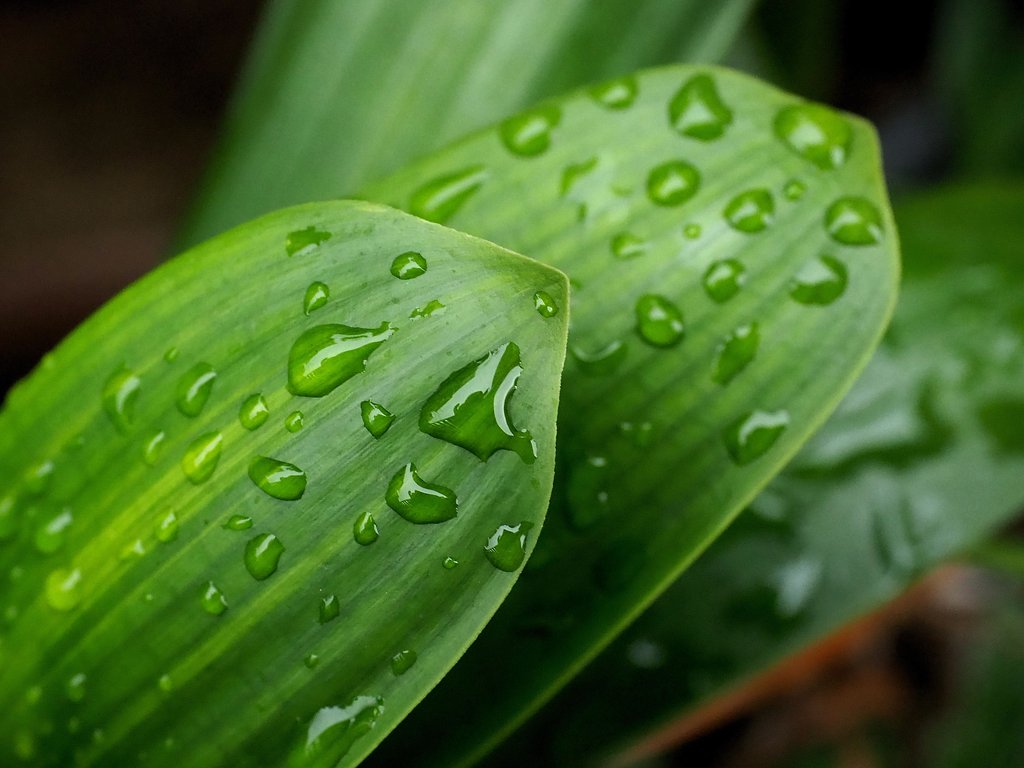 雨滴