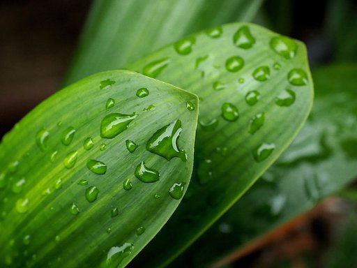 雨滴