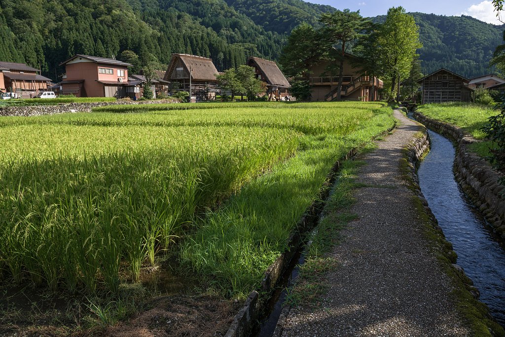 緑と水に囲まれて