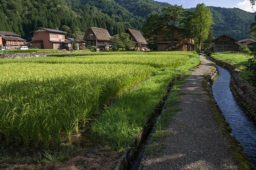 緑と水に囲まれて