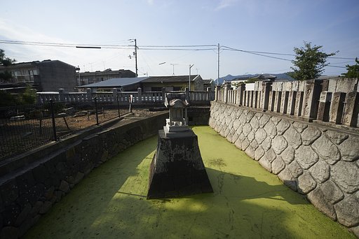 雑感