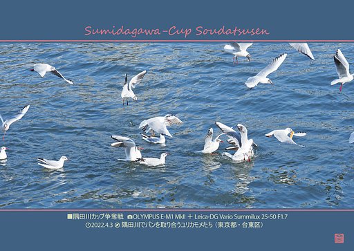 隅田川カップ争奪戦２