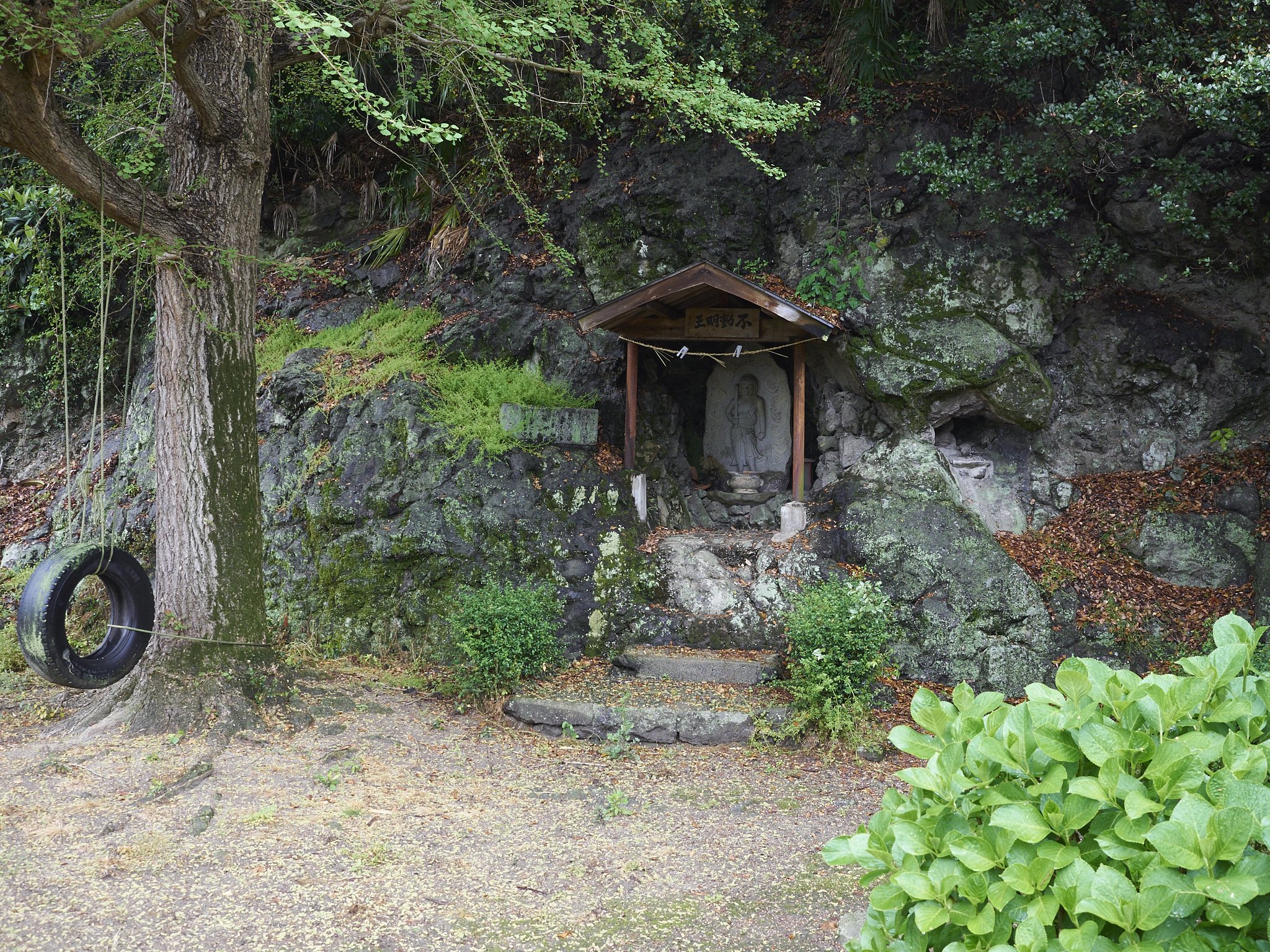 雑感⑤