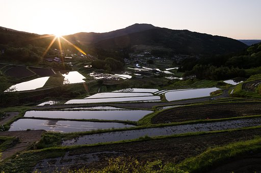 棚田の日の出