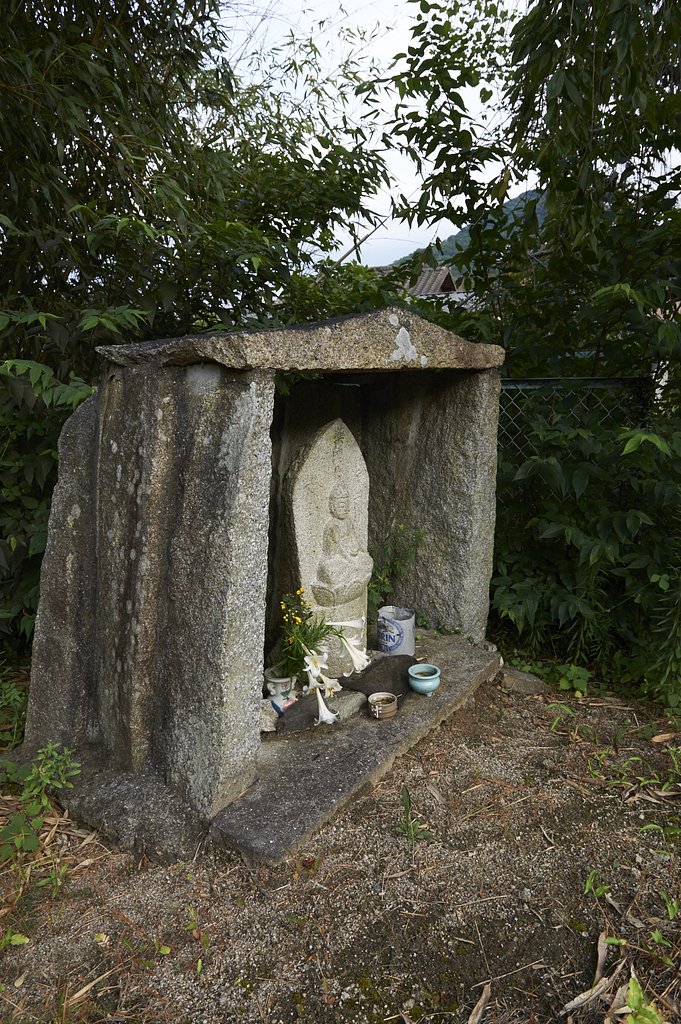雑感