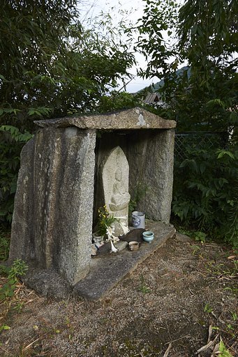 雑感