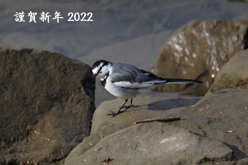 謹賀新年２０２２
