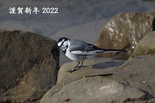 謹賀新年２０２２