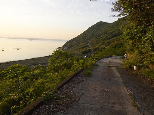 雑感