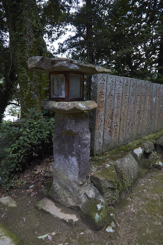 雑感