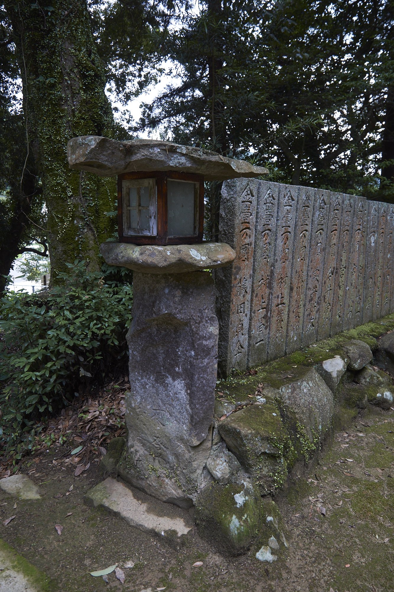雑感