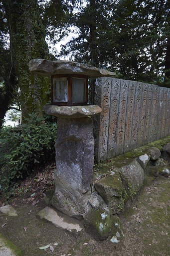 雑感